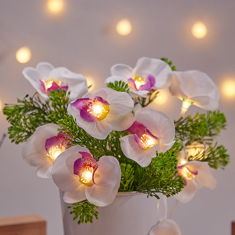 Led Simulation Phalaenopsis